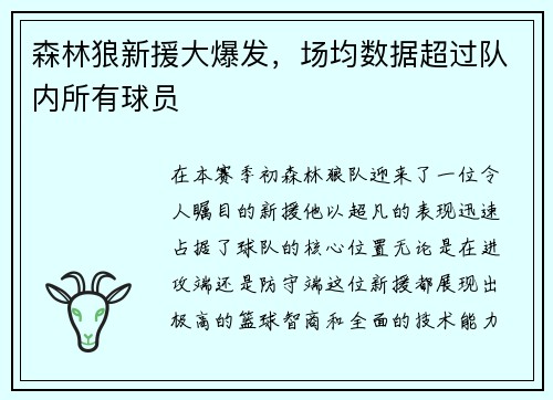 森林狼新援大爆发，场均数据超过队内所有球员