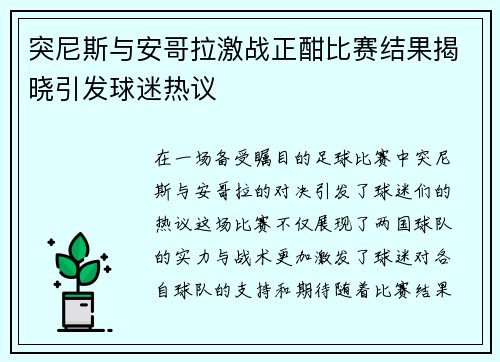 突尼斯与安哥拉激战正酣比赛结果揭晓引发球迷热议