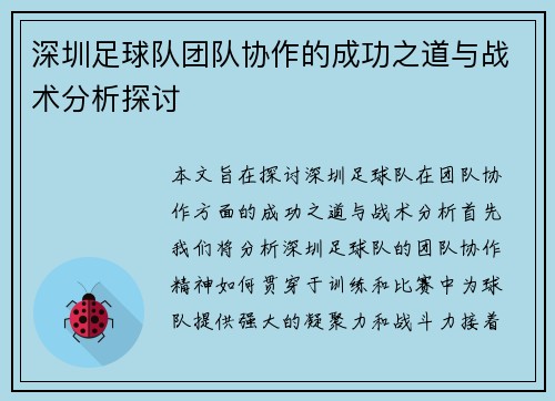 深圳足球队团队协作的成功之道与战术分析探讨